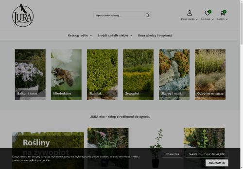 Gospodarstwo rolne – Agata Wąs